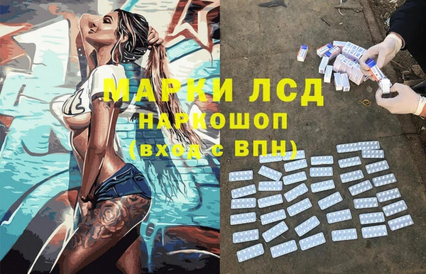 крисы Алзамай