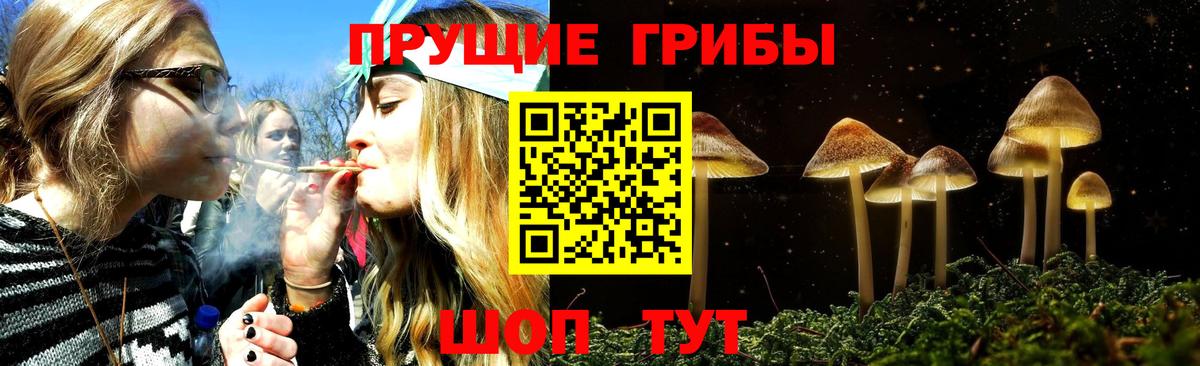 Галлюциногенные грибы Psilocybine cubensis Тара