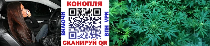 где купить наркотик  MEGA зеркало  МАРИХУАНА LSD WEED  Тара 